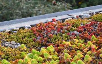 the cost of Mere Brow green roof installation