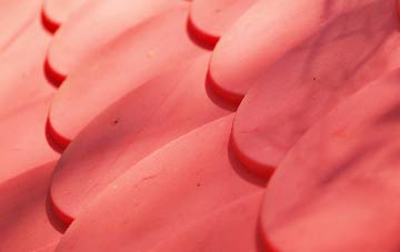 Mere Brow plastic roof costs