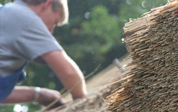 professional Mere Brow thatchers