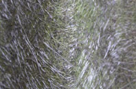 Mere Brow fibreglass roof work